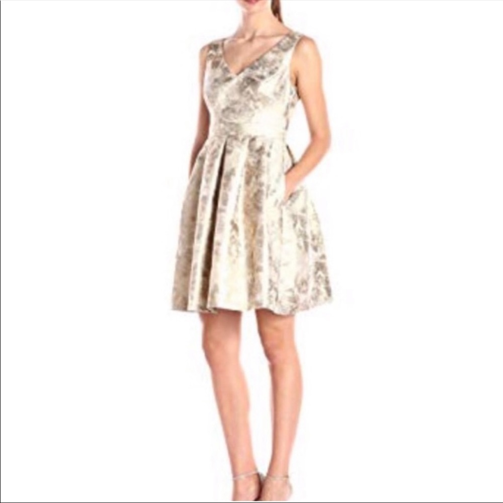 Fit and Flare Dress